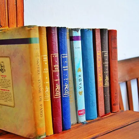 Afet Hanim Konagi אלאקאטי