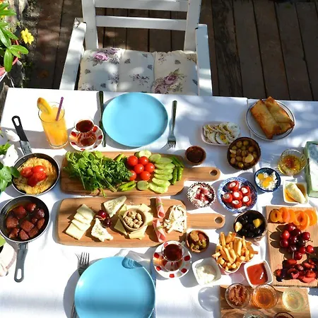 בית הארחה Afet Hanim Konagi