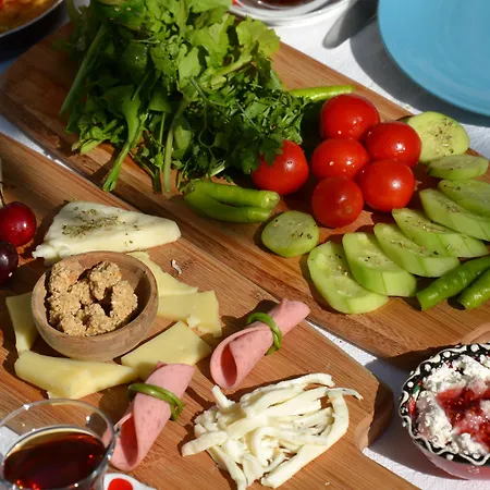 Afet Hanim Konagi בית הארחה אלאקאטי