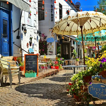 Afet Hanim Konagi בית הארחה