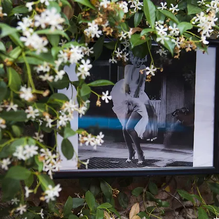 Afet Hanim Konagi 4* אלאקאטי