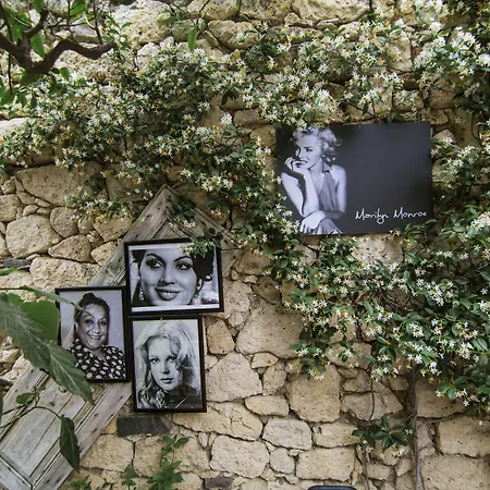 Afet Hanim Konagi בית הארחה אלאקאטי