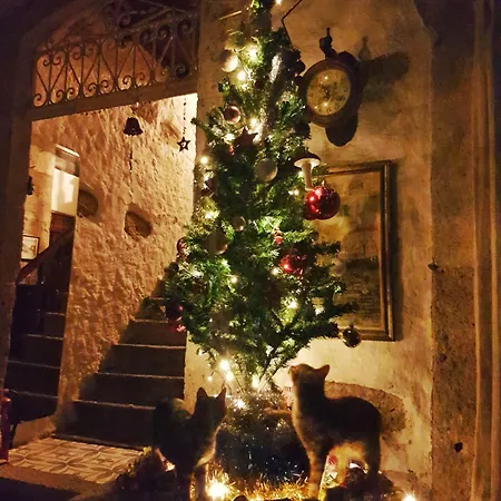 Afet Hanim Konagi Konukevi 4*